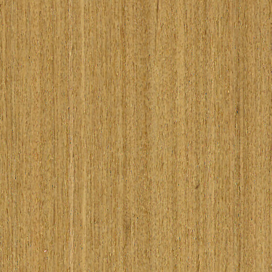 Golden Silk Teak Veneer